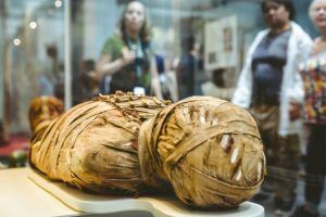 mummy in a museum 